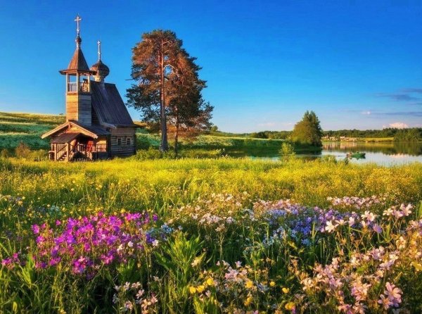 Кенозерский национальный парк