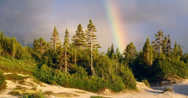 Природа Архангельской области город Архангельск