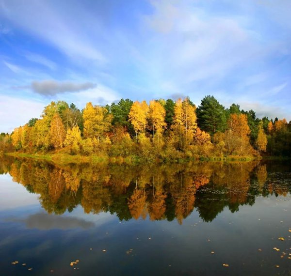 Золотая осень в Архангельской области