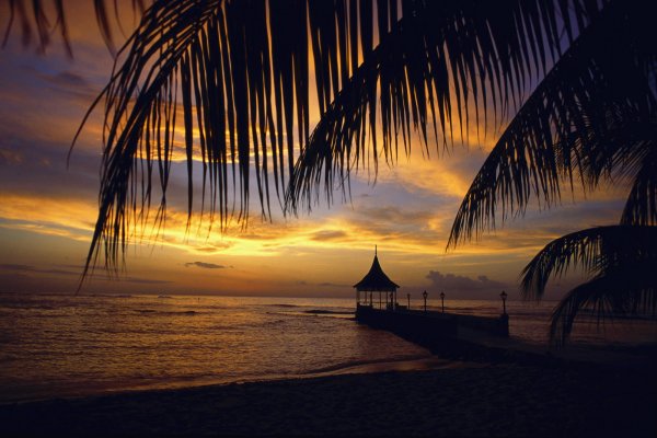 Пальмы на закате