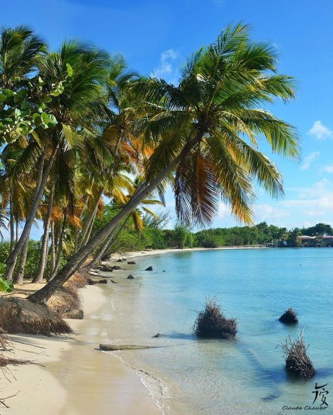 Карибское море Ямайка