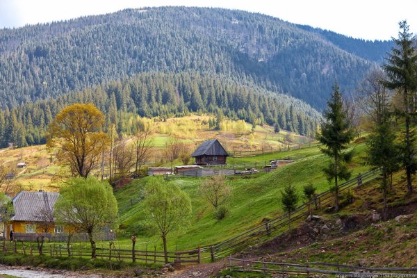 Село Поляна Карпаты