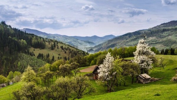 Природа Украины Карпаты