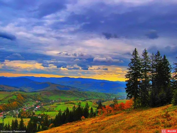 Гора Златибор Карпаты