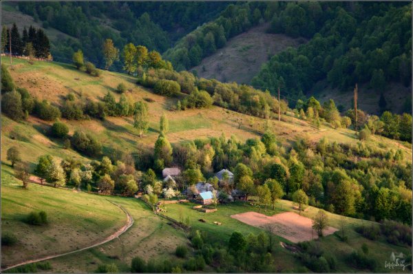 Карпаты деревни в горах