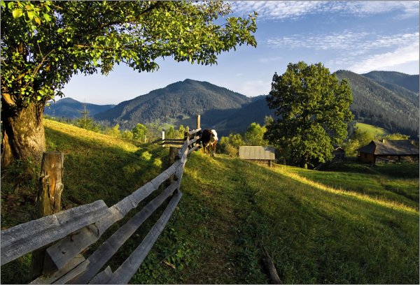 Карпатские горы Закарпатье