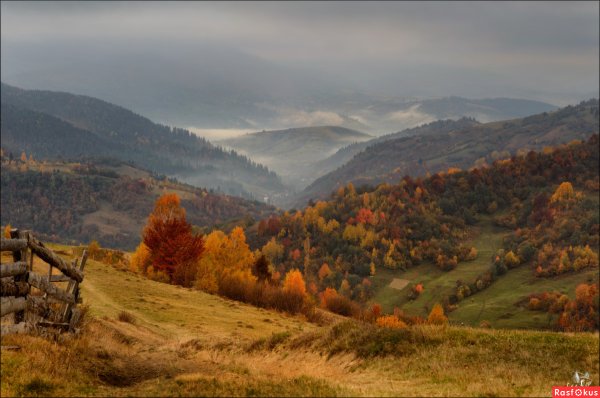 Карпаты Закарпатье