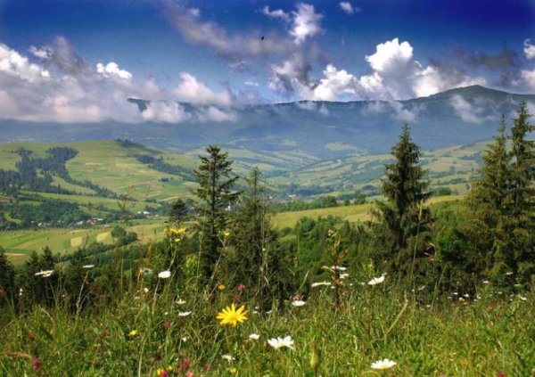 Закарпатье климат