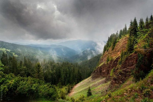 Карпаты горы природа