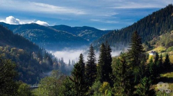 Карпатские горы Украина