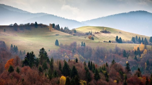 Гора Златибор Карпаты