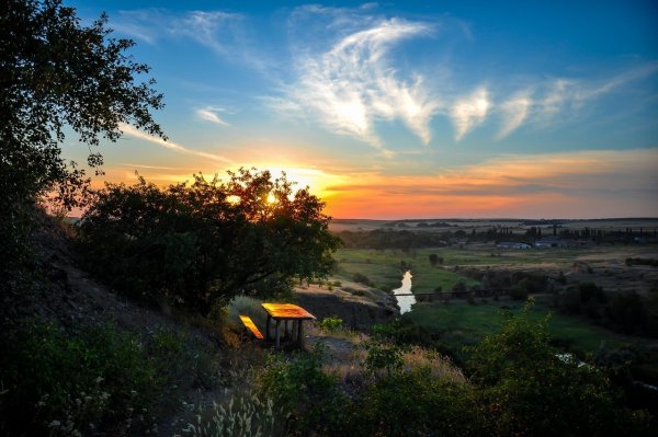 Природа Донбасса