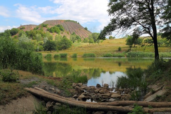 Природа Донбасса