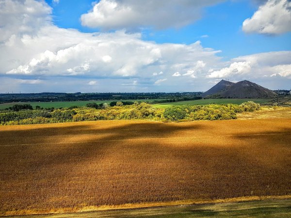 Донбасс степь Терриконы