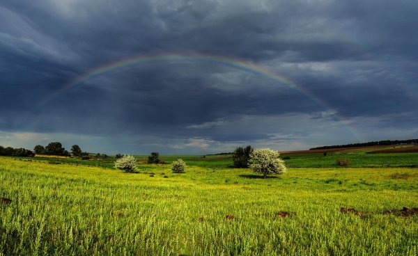 Пейзажи Донбасса