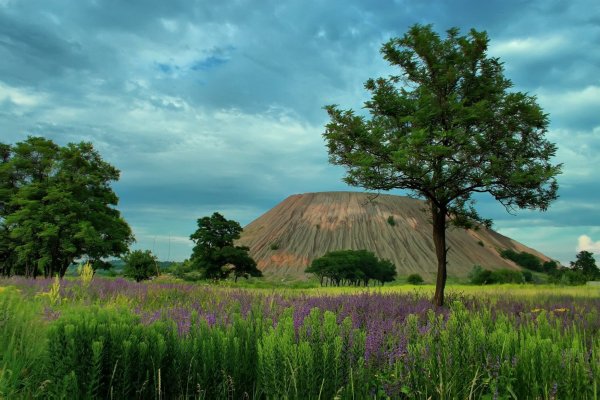 Донецк степь Терриконы