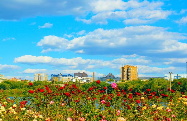 Донбасс природа Кировск