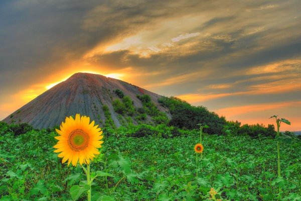 Донбасс степь Терриконы