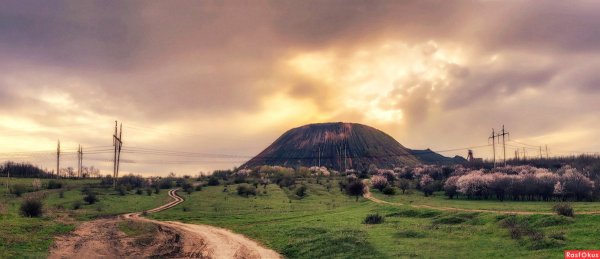 Макеевка Маковое поле