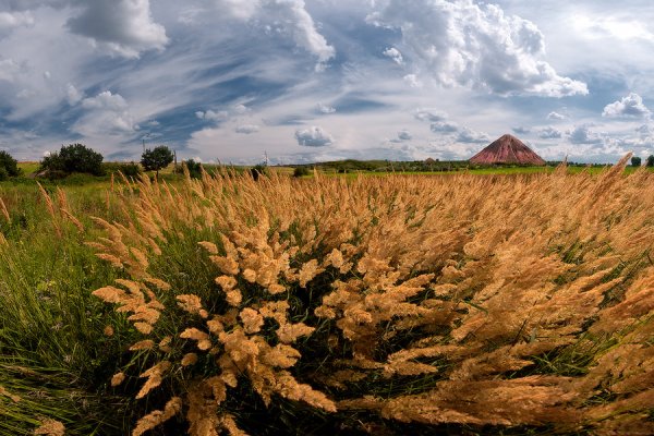 Терриконы Донецк и Подсолнухи