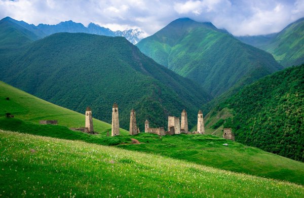 Башенный комплекс Таргим