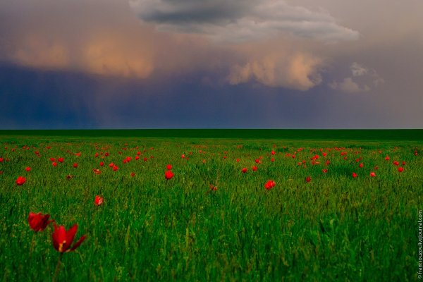 Бескрайние степи Калмыкии