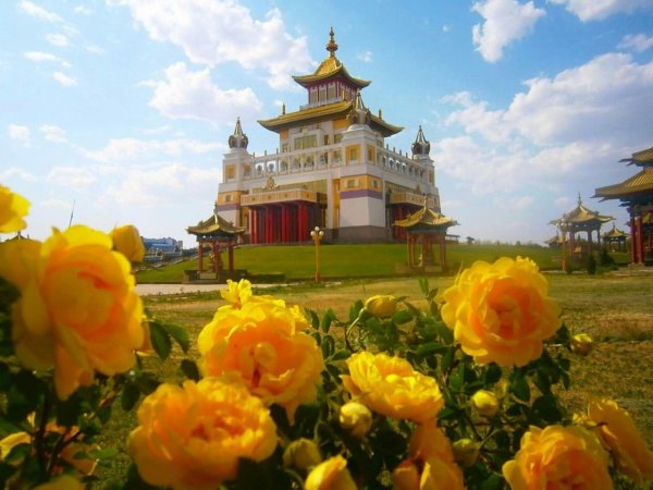 Калмыкия тюльпаны хурул