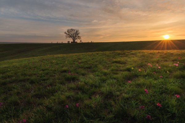 Природа степей Калмыкии