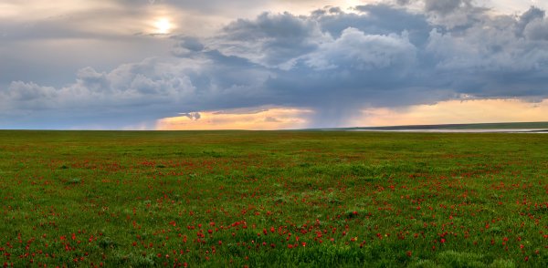Весенняя степь Калмыкия