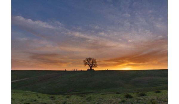 Одинокий Тополь в Калмыкии