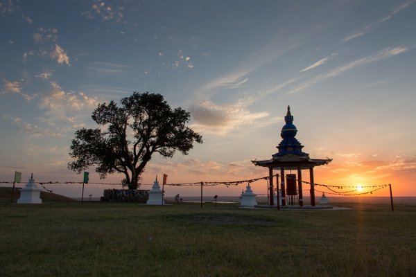 Одинокий Тополь в Калмыкии