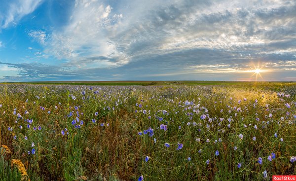 Меклетинский государственный природный заказник