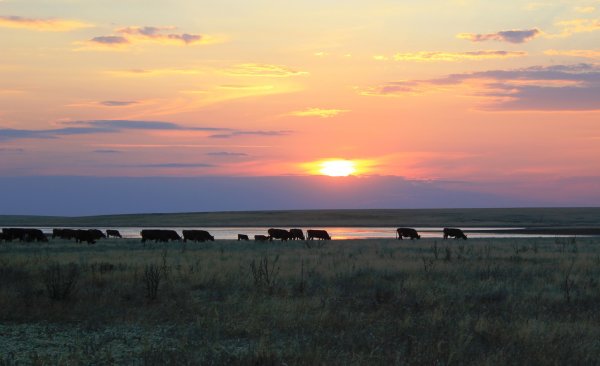 Озеро Маныч-Гудило