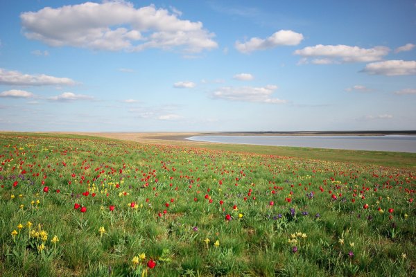 Маныч-Гудило Калмыкия