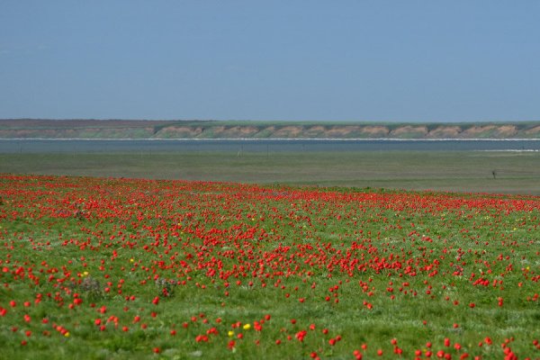 Маныч-Гудило Калмыкия