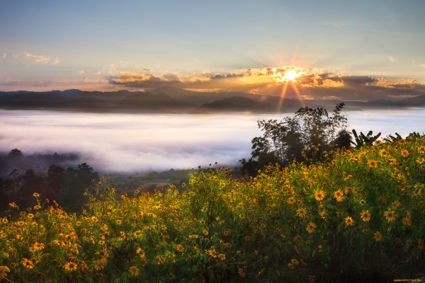 Природа рассвет