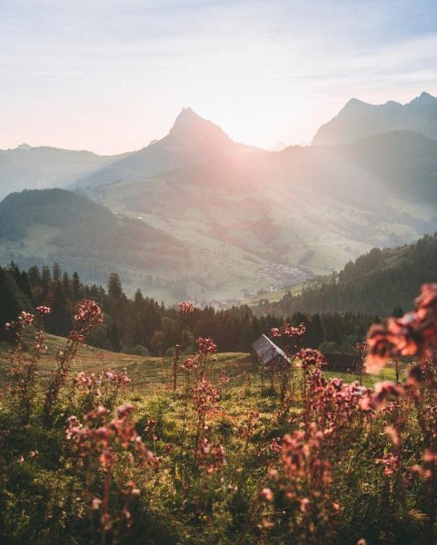 Эстетика природы