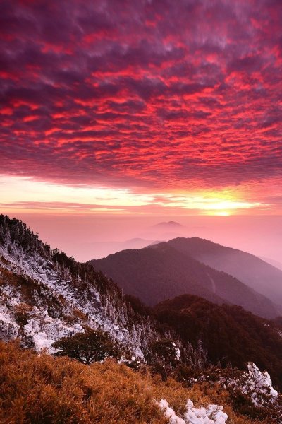 Эстетика природы