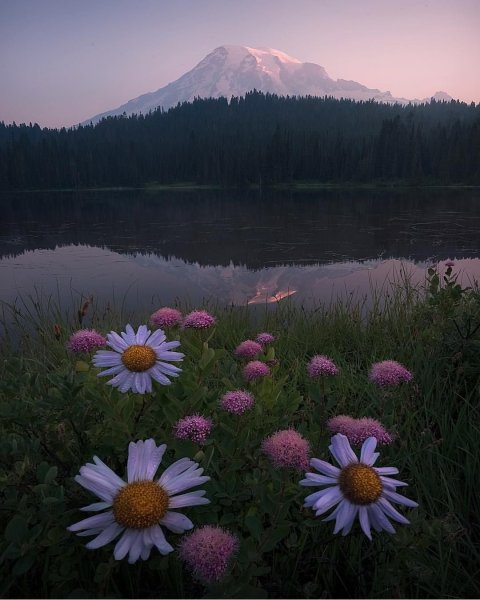 Красивая природа