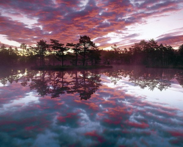 Эстетика природы