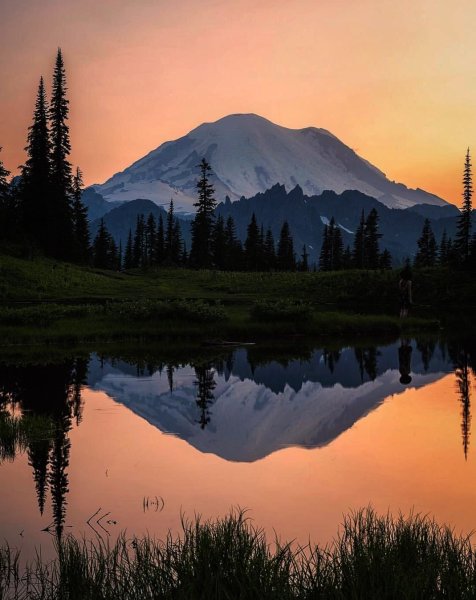 Эстетика природы