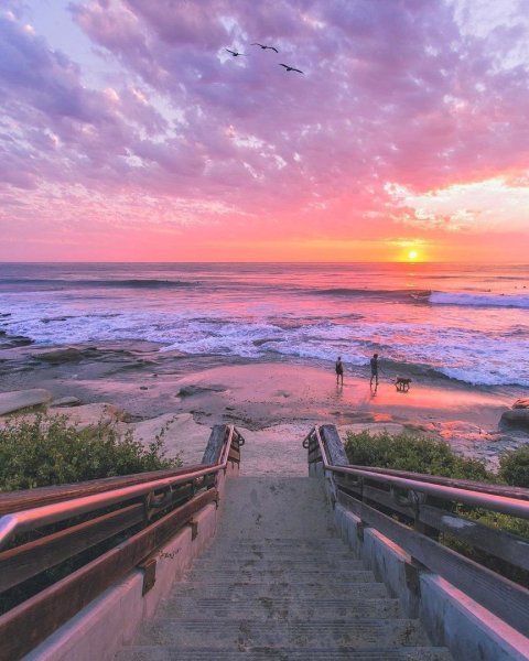 Розовый закат