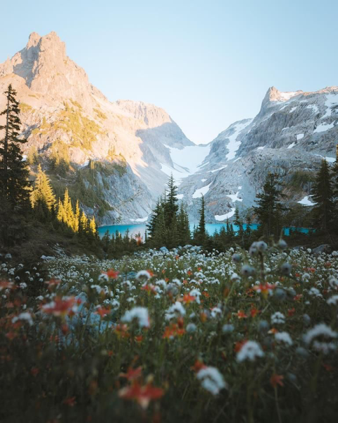 Эстетика природы