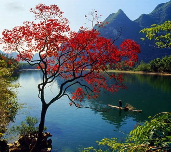 Сиань Флора и фауна Китай