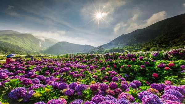 Цветочная Долина, Перуджа, Италия