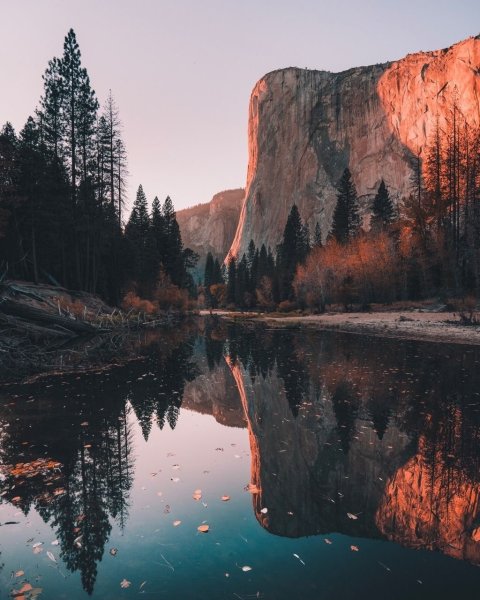 Эстетика природы