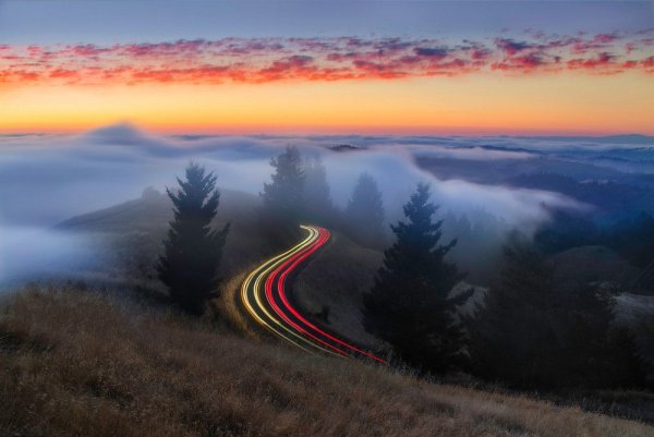 Фантастическая природа