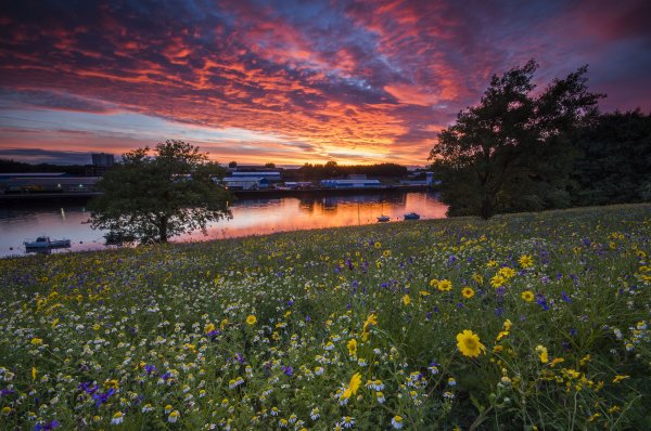 Луг вечер закат