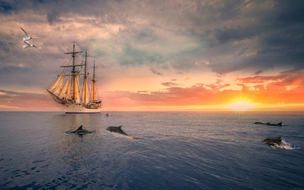 Парусник в море