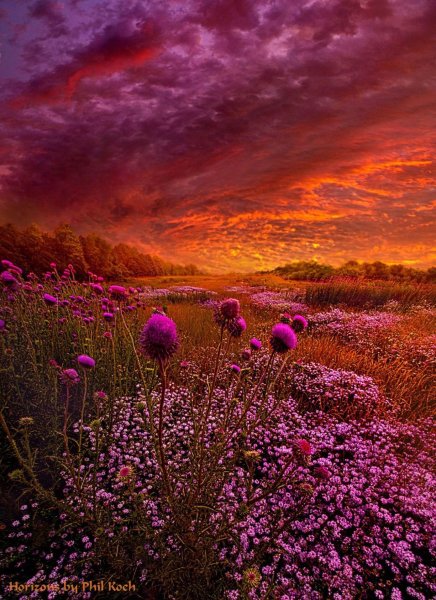 Красивый пейзаж